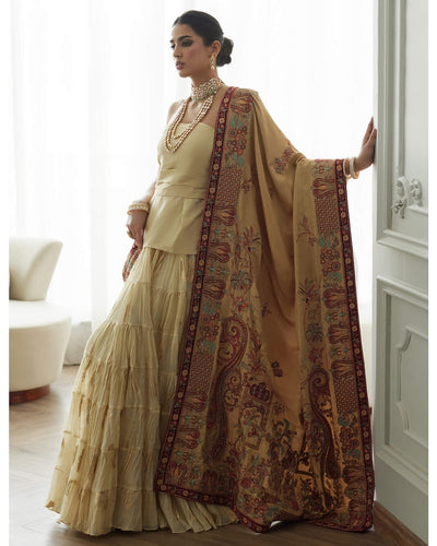 Evelyn Strapless Top, Crushed Ghagra & Shawl Set
