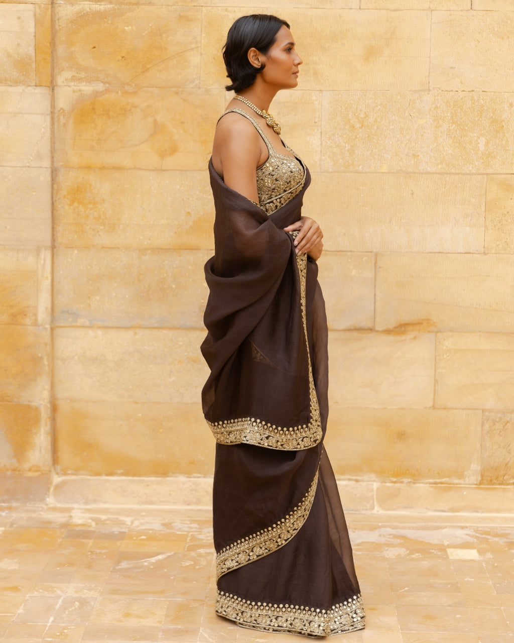 Brown Beige Gold  Embroidered Organza Sari Set