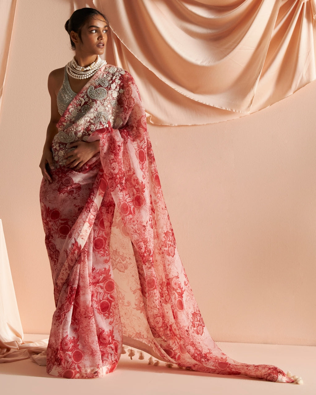 Ivory & Red Embroidered Blossom Sari