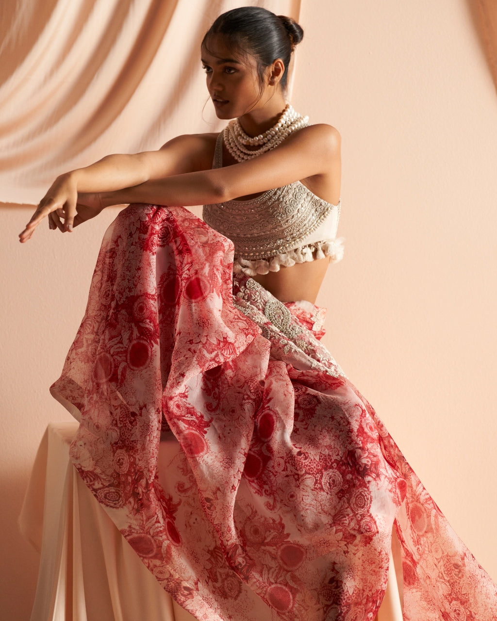 Ivory & Red Embroidered Blossom Sari