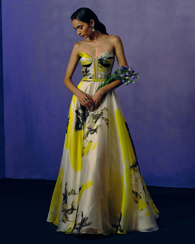 Butterveil Print Ball Gown
