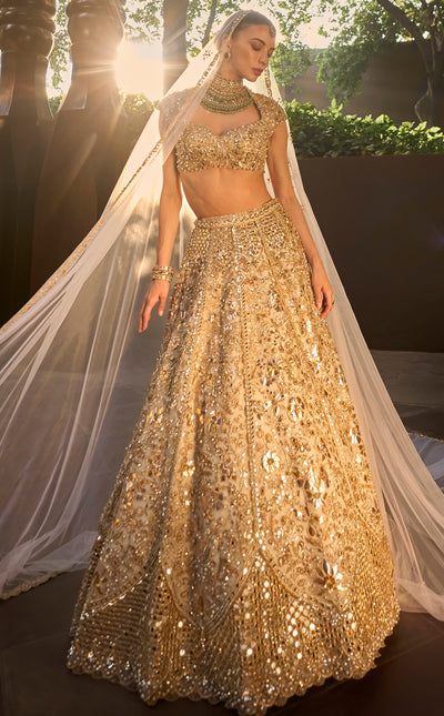 Silver Tissue Mirrorwork Lehenga Set