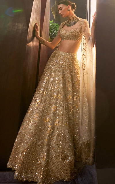 Silver Tissue Mirrorwork Lehenga Set