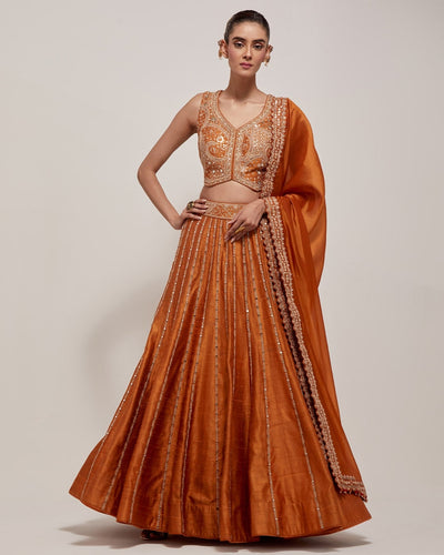 Amer Lehenga Set