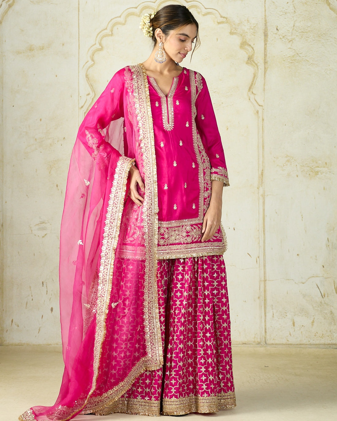 Rani Pink Mumtaz Sharara Set