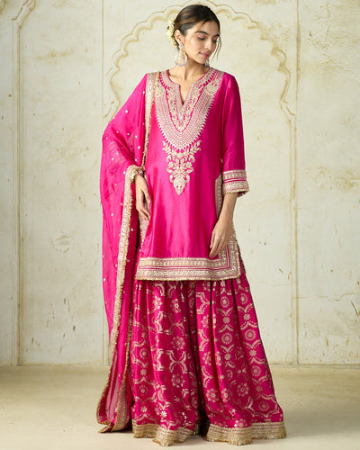 Rani Pink Ameena Sharara Set