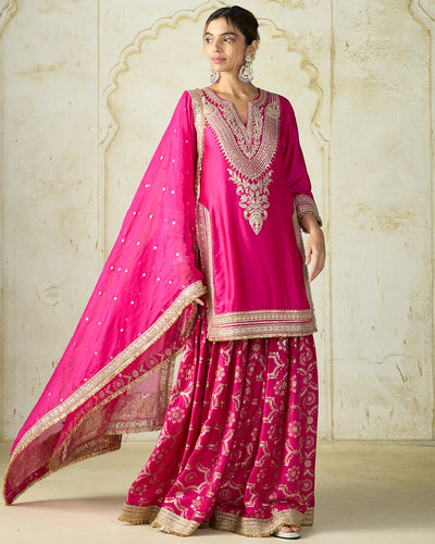 Rani Pink Ameena Sharara Set