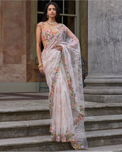 Nude Multi- Coloured Sari Set