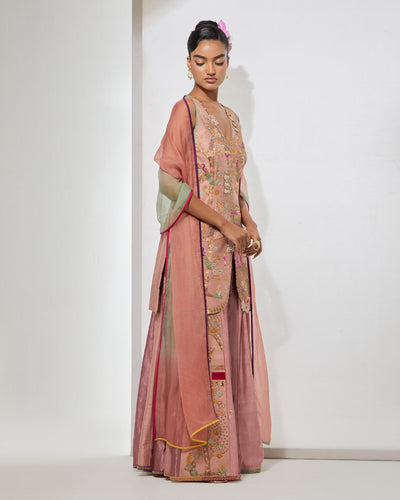 Blush Pink Sharara Set