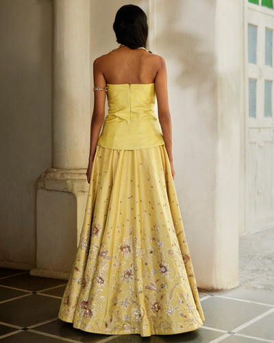 Anira Lehenga Set