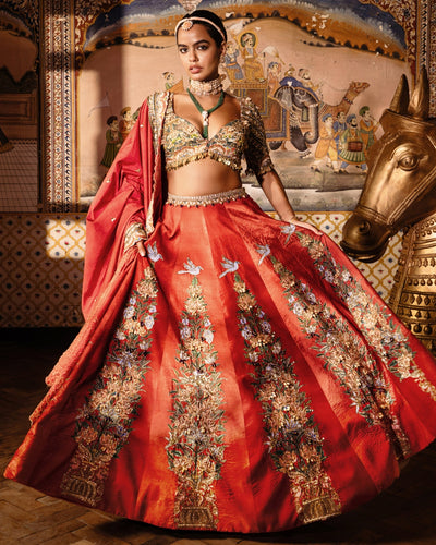 Ranisa Lehenga Set