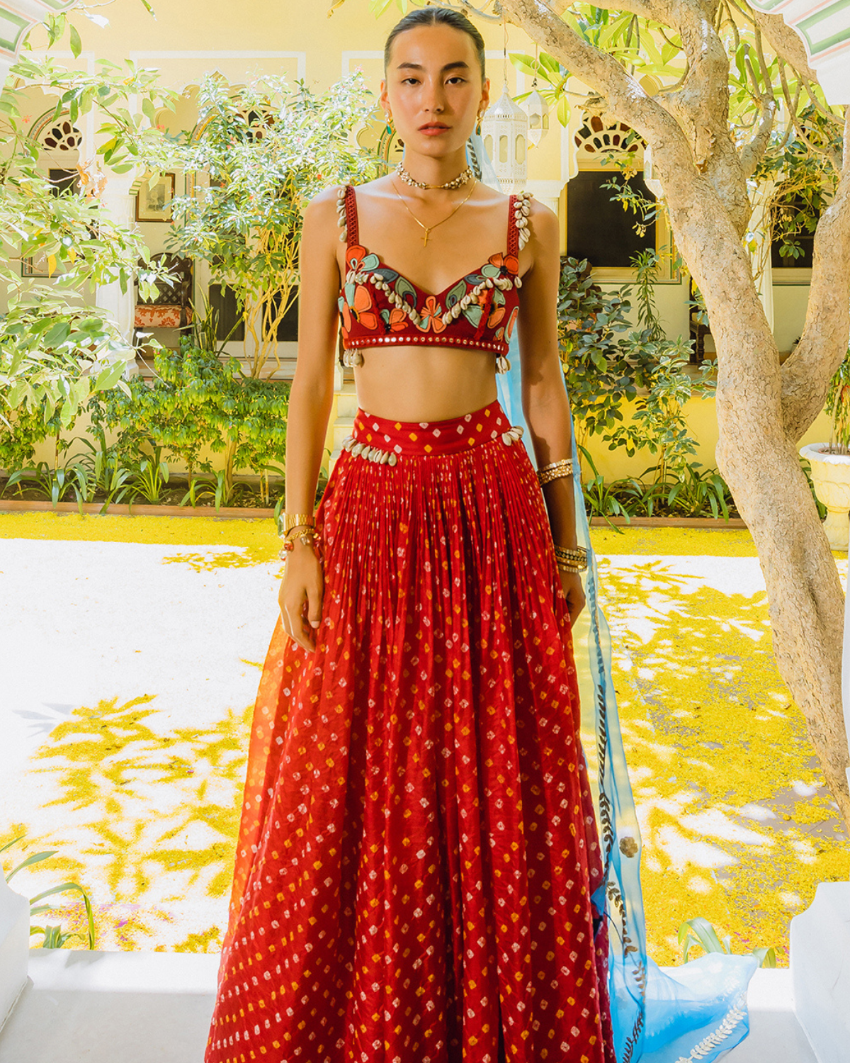 Red Bandhini, Poppies and Shells Crop