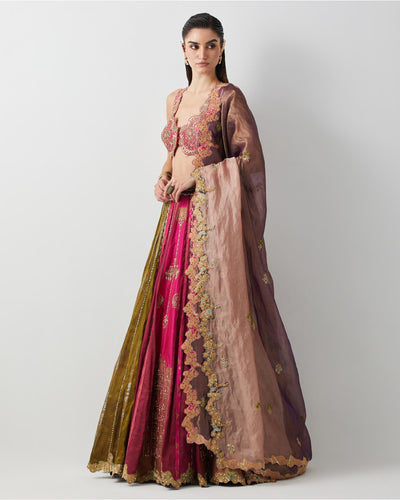 Multicolour Tissue & Silk Hand Embroidered Lehenga Set