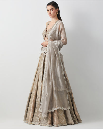 Silver Hand Embroidered Silk Brocade Lehenga Set