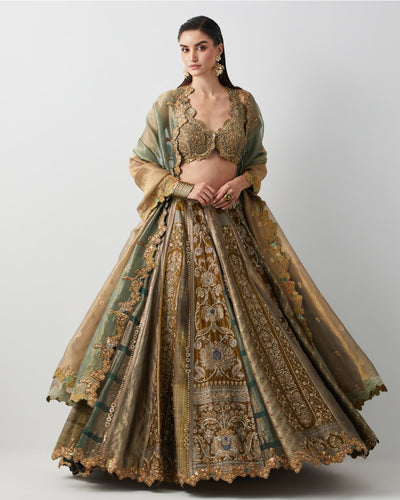 Olive Green Hand Embroidered Silk Brocade Lehenga Set