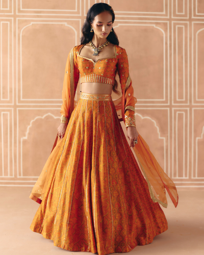 Burnt Orange Panelled Lehenga Set