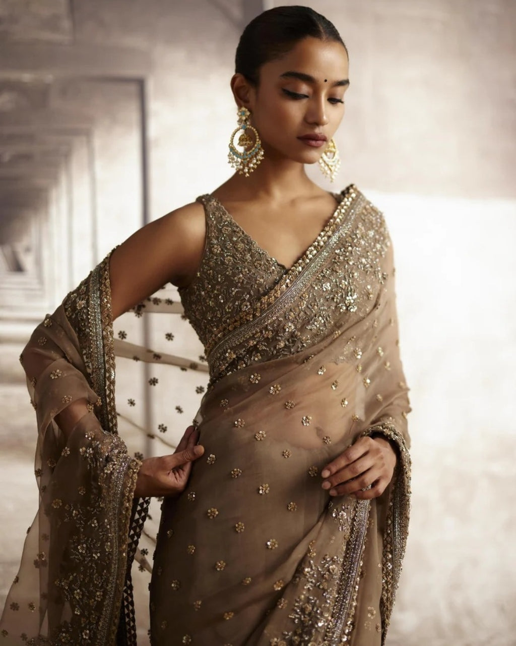 Organza Sari With Sequin & Cutdana Embroidery