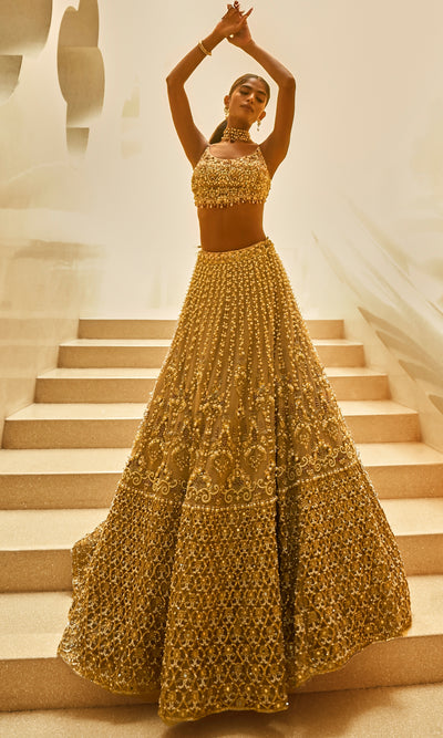 Biscuit Luxe Lehenga Set