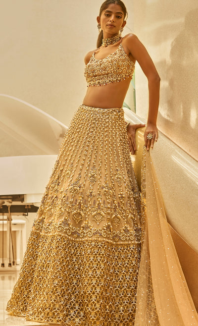 Biscuit Luxe Lehenga Set