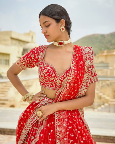 Tani Lehenga Set