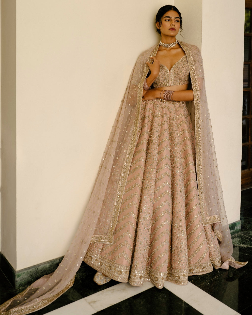 Chevron & Jaal Panel Lehenga