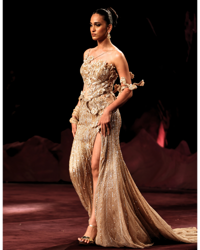 Vanika Gown