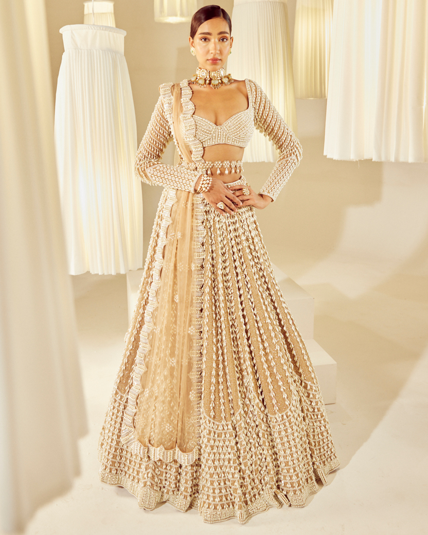 Bhavanya Lehenga Set