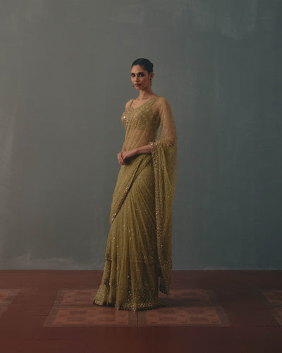 Sage Green And Pani Gold Hand Embroidered Net Sari And Sleeveless  Blouse