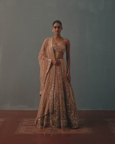 Dust Pink Net Embroidered Lehenga Set