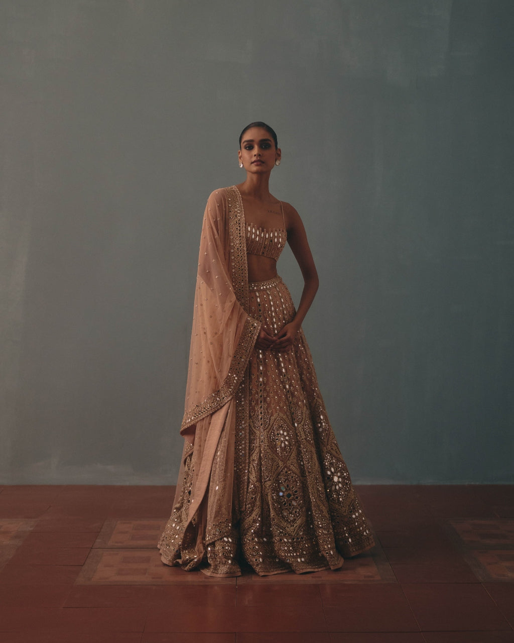 Dust Pink Net Embroidered Lehenga Set
