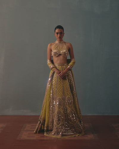 Lime Green Net Embroidered Lehenga & Blouse Set