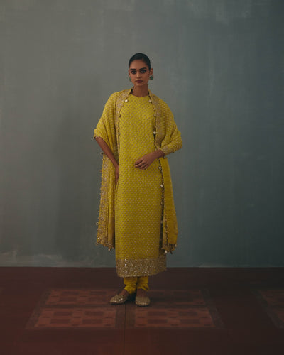 Lime Hand Embroidered Sleeveless Star Kurta Set