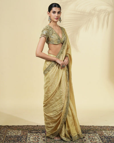 Gold Tissue Classic Sari Set