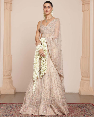 Coconut & Rose Gold Hip Hug Sari Set