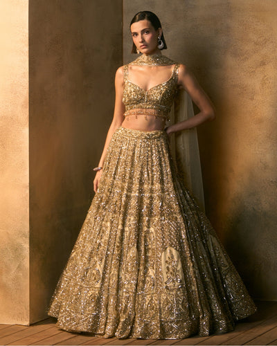 Meridian Lehenga Set