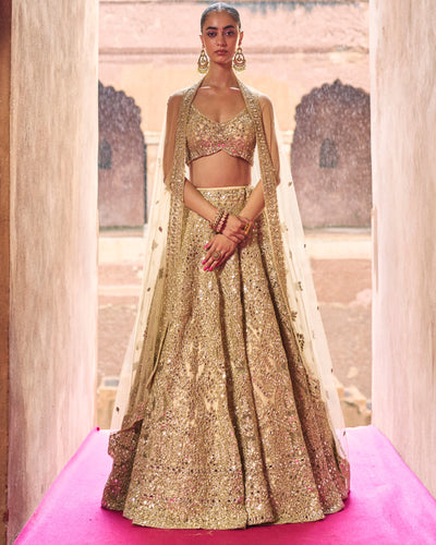 Gold Net Lehenga Set