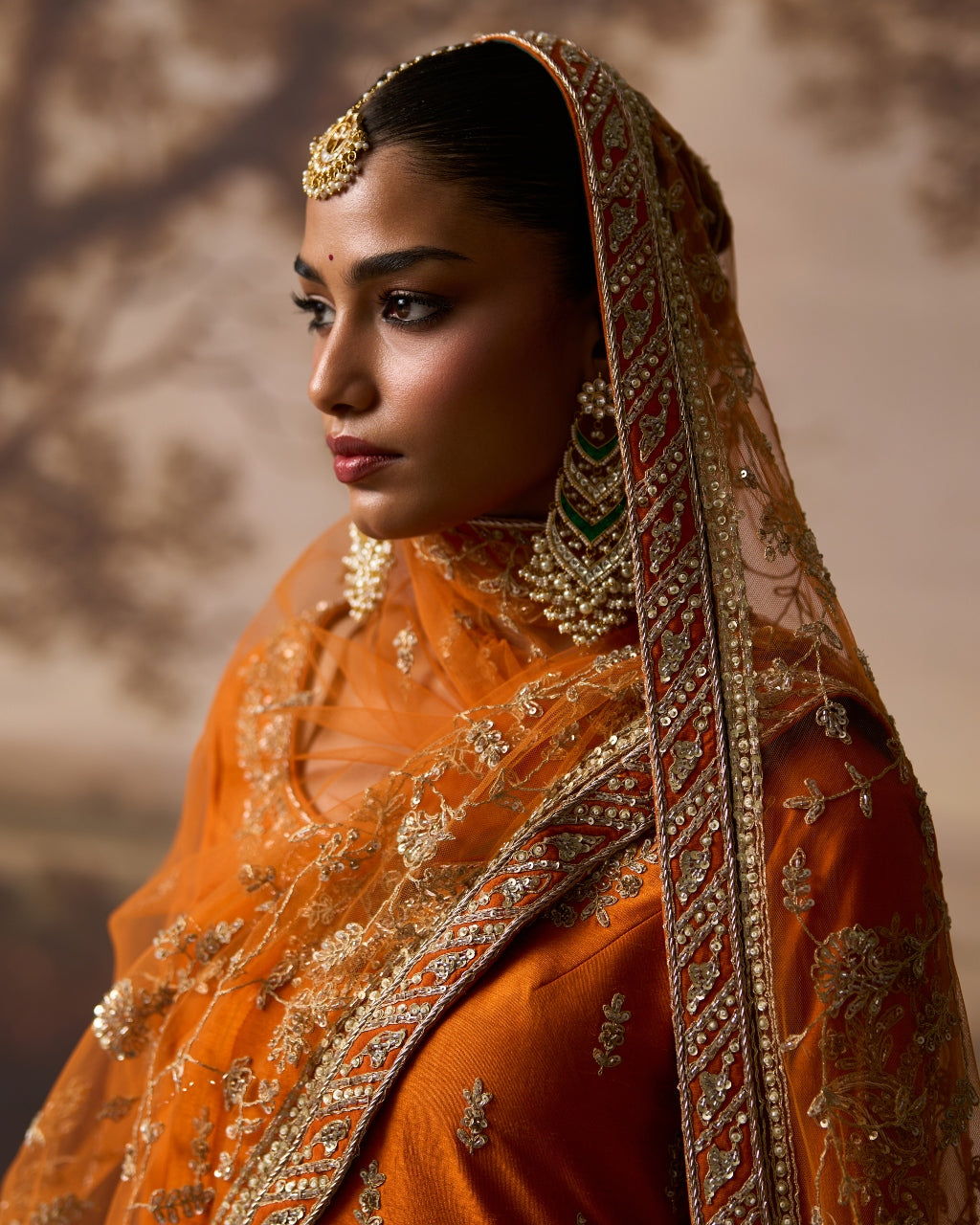 Roshni Sharara Set