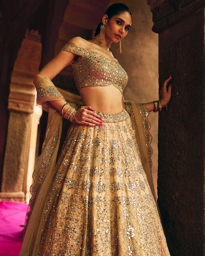 Gold Organza Lehenga Set
