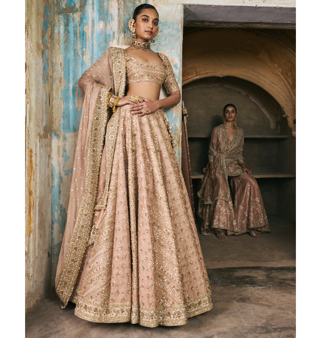 Rose Pink Panels Lehenga Set