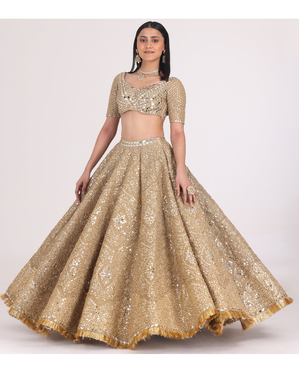 Floral Motif Tissue Lehenga Set