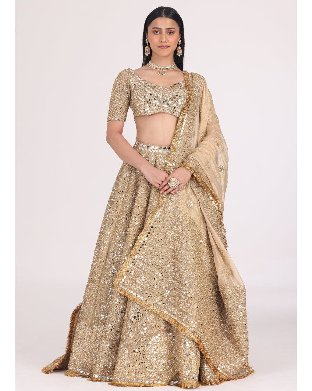 Floral Motif Tissue Lehenga Set