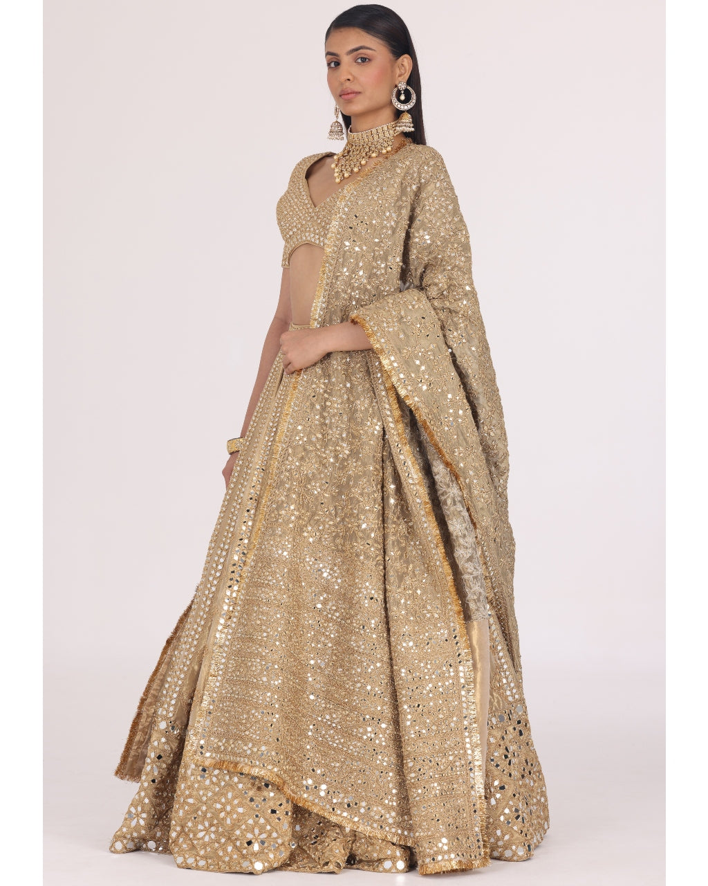 Pattern Tissue Lehenga Set