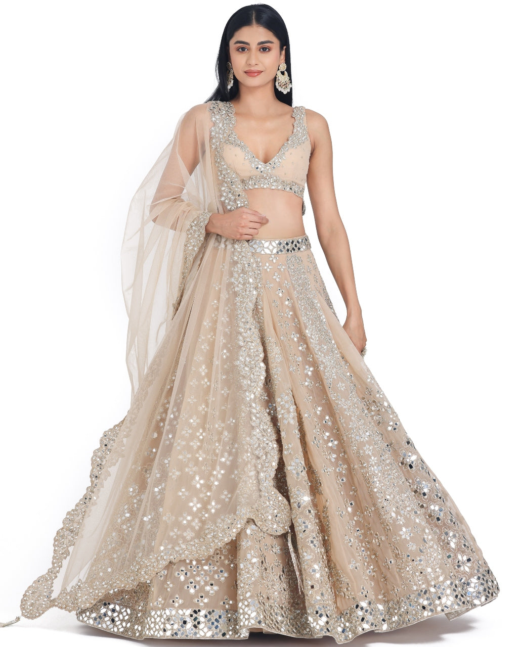 Blush Beige Lehenga Set