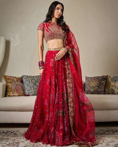 Alina Lehenga Set