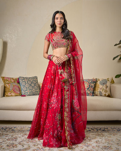 Alina Lehenga Set