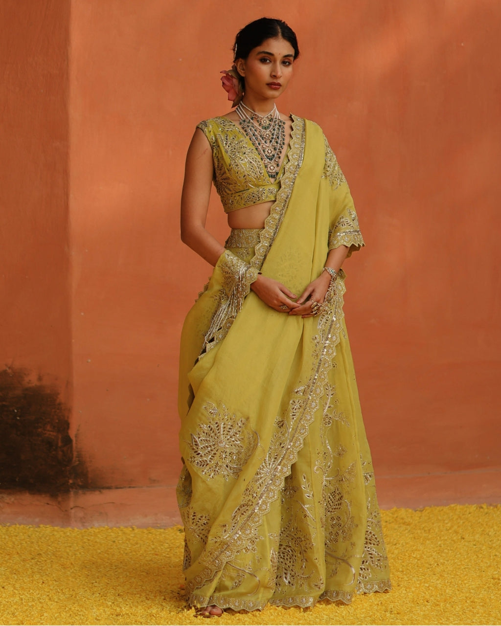 Mustard Aj Panel Skirt Sari