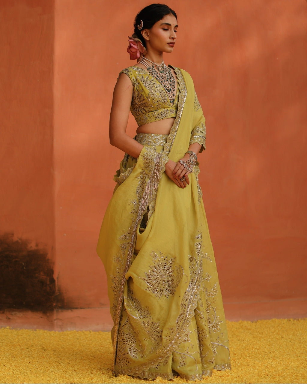 Mustard Aj Panel Skirt Sari