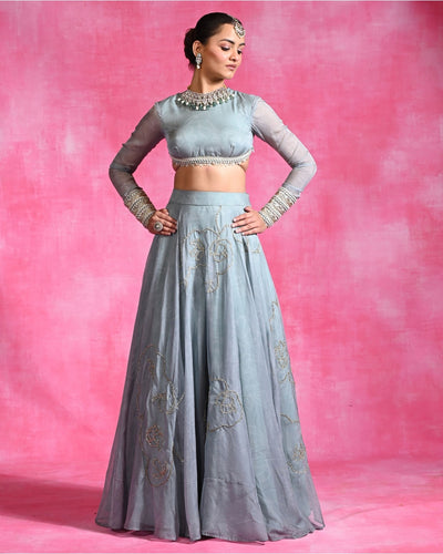 Icy Garnet Set Lehenga Set