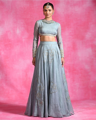 Icy Garnet Set Lehenga Set