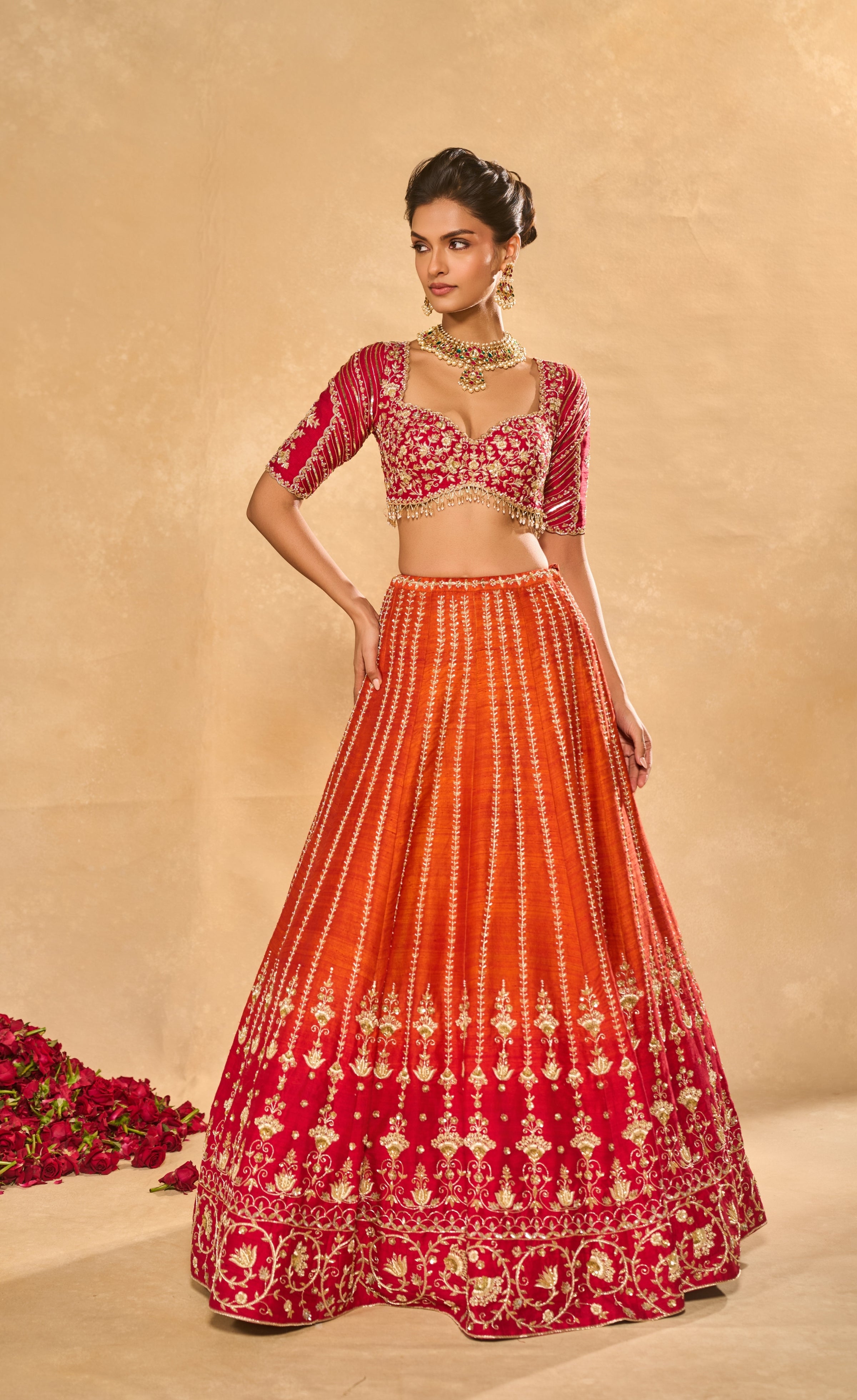 Aariana Lehenga Set
